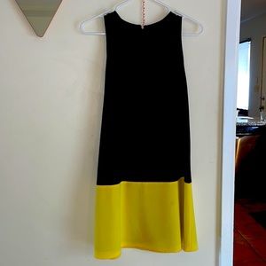Alice and Olivia shift dress